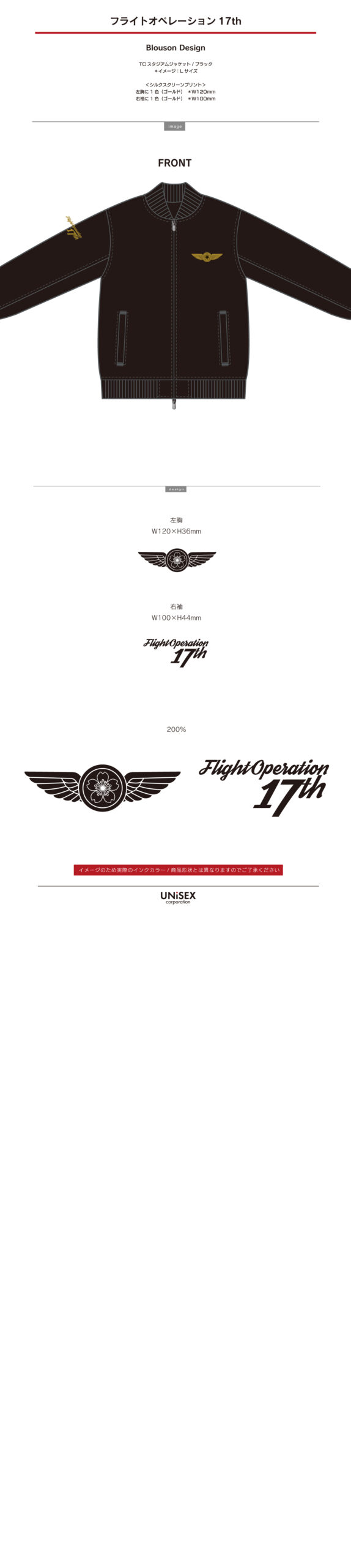 FlightOperation17th